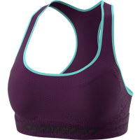 Dynafit Speed Bra Women royal purple