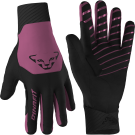 Dynafit Blacklight Softshell Gloves magenta