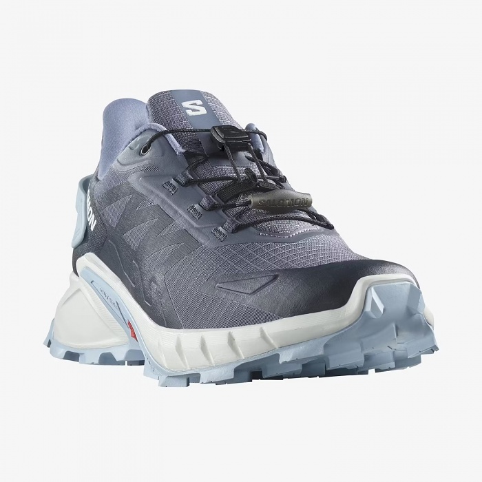 Salomon Supercross 4 W Grisaille/White