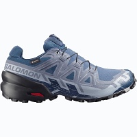 Salomon Speedcross 6 GTX Spellbound/black