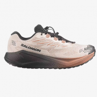 Salomon Aero Blaze 4 Grvl GTX Vanilla ice/black