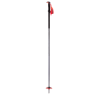 Palice Dynafit Tour Pole dawn