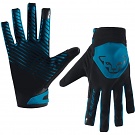 Rukavice Dynafit Radical 2 Softshell gloves reef